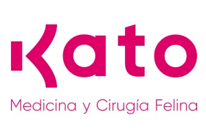 Kato clínica felina
