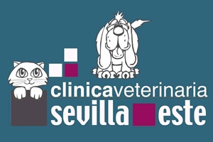 Clínica Veterinaria Sevilla Este