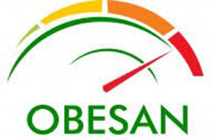 Centros de obesidad - OBESAN