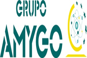 Empresas de mudanza - Grupo Amygo Sevilla