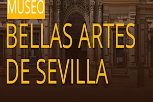 Museos - Museo de Bellas Artes