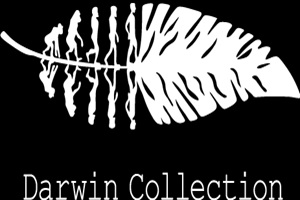 Joyerías - Darwin Collection
