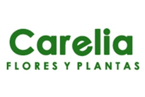 Floristerías - Floristería Carelia
