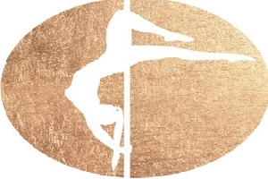 logo de Pole Dance Fitness