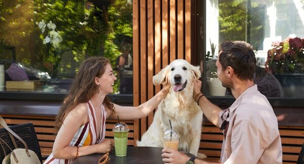 Restaurantes que admiten mascotas - Personas comiendo en restaurantes que aceptan perros con reglas pet friendly reconocido como uno de los mejores restaurantes que admiten mascotas en Sevilla