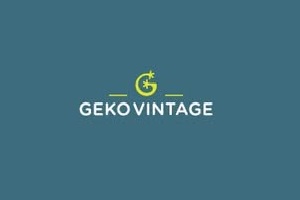 logo de la tienda Geko vintage