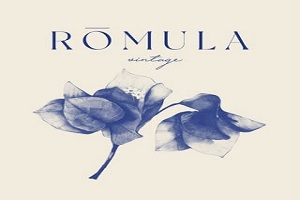 logo de la tienda Romula Vintage