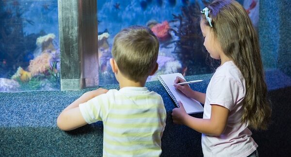 actividades para niños, dos niños viendo peces en un acuario, u la niña parece estar tomando notas o dibujando